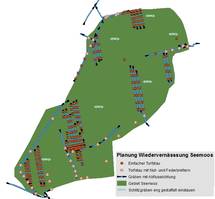 Vorgeschlagene Planung zur Renaturierung im Seemoos