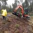 Abdeckung eines fertigen Damms mit Moorvegetation