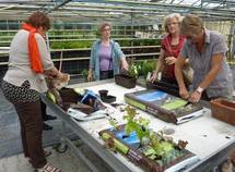 Workshop torffrei gärtnern in der Biogärtnerei Christian Herb