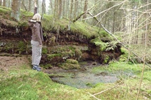 Aus trockengelegten Mooren entweicht Kohlendioxid, weil der Torf sich unter Zufuhr von Sauerstoff zersetzt.
